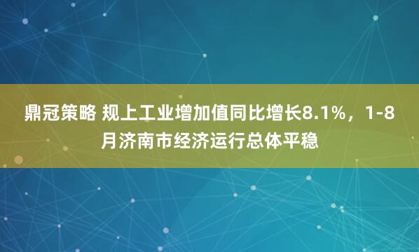 鼎冠策略 规上工业增加值同比增长8.1%，1-8月济南市经济运行总体平稳
